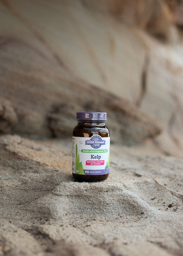 Kelp (90 Capsules)