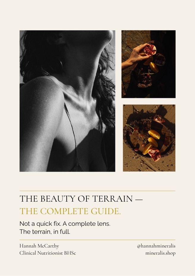 The Beauty of Terrain — Complete Guide