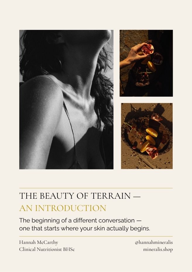 The Beauty of Terrain — Introduction Guide