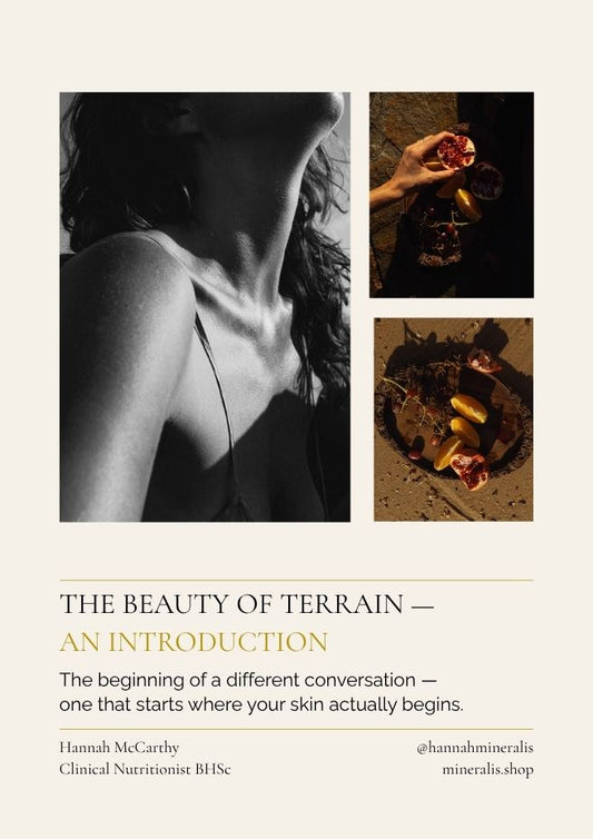 The Beauty of Terrain — Introduction Guide